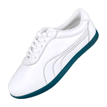 Tai Chi Shoes Mens Spring and Autumn Soft Sole Tai Chi Practice Shoes Genuine Leather Tendon Sole Womens Martial Arts Special Sports Shoes