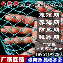 Poultry farming net chicken net protection net proof net chicken net chicken net chicken net surrounding network chicken raising plastic network