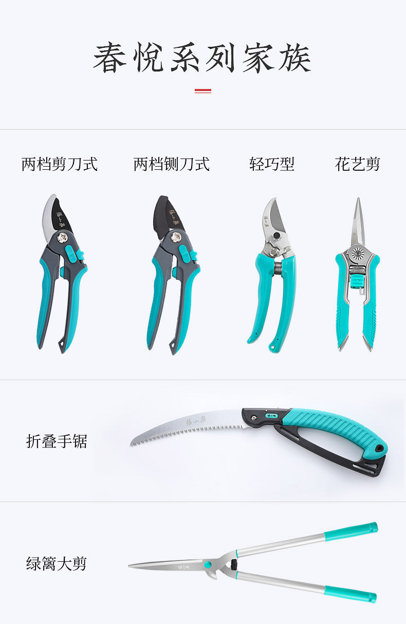 Chunyue series of Interconnection.jpg