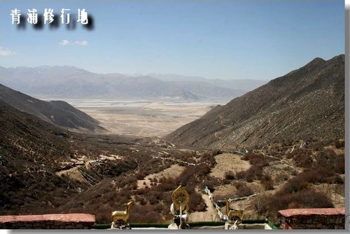 Sangye Qingpu, практикующий кипарисовые деревья, вырезанные с пестиком King Kong