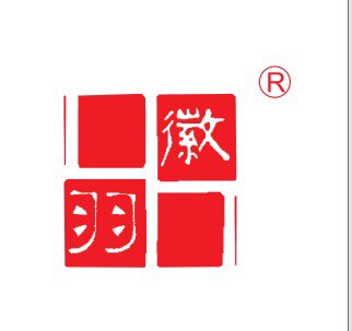 徽羽羽毛球店