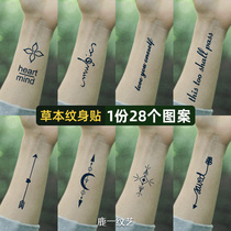 Ins style simple small pattern semi-permanent herbal tattoo sticker waterproof men and women high-end arrow English feather