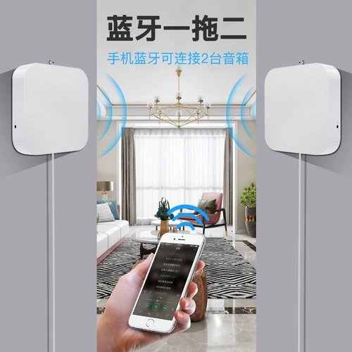Стена -Связанная на Bluetooth -динамики, чтобы собрать деньги голосовой голосовой ветвите