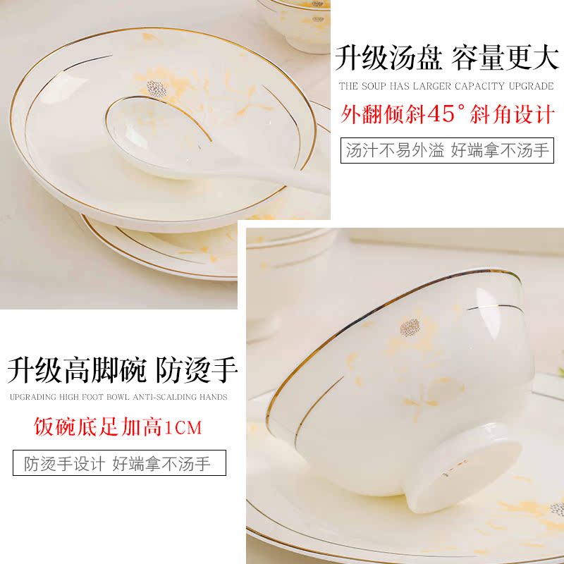 Years static good DIY free collocation with jingdezhen European - style ipads porcelain fish dish soup plate job rainbow such as bowl with a spoon