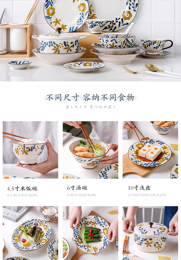 Sichuan in Japanese ceramics tableware home to eat noodles bowl of soup bowl of creative new fish plate western food steak plate