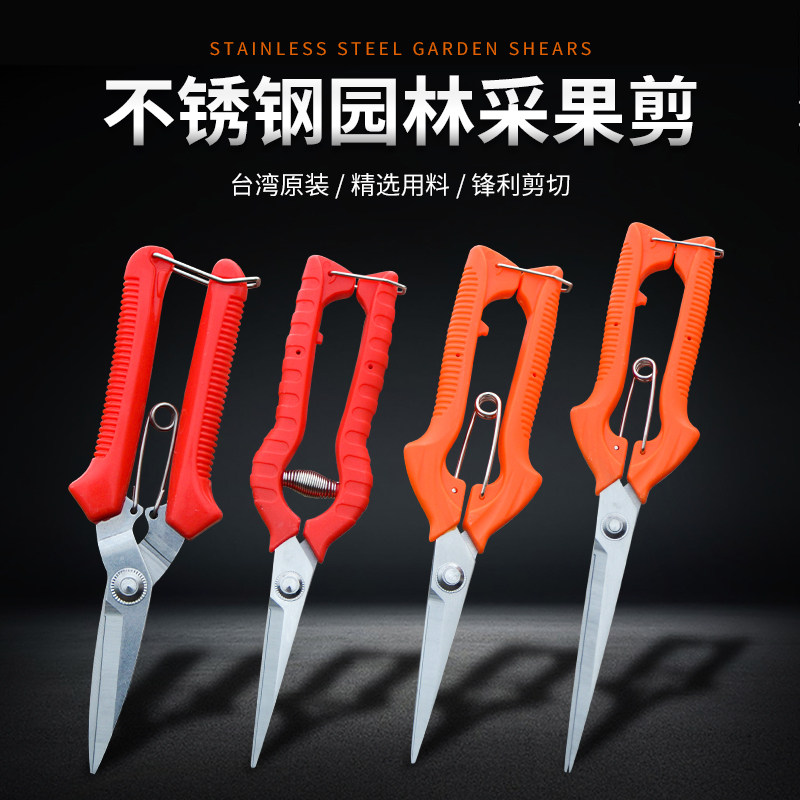 Rare Fruit Picking Scissors Thinning Fruit Gardening Fine Branches Saws Cut Grape Trees Betel Nut Orange Citrus Flowers Cut-Taobao