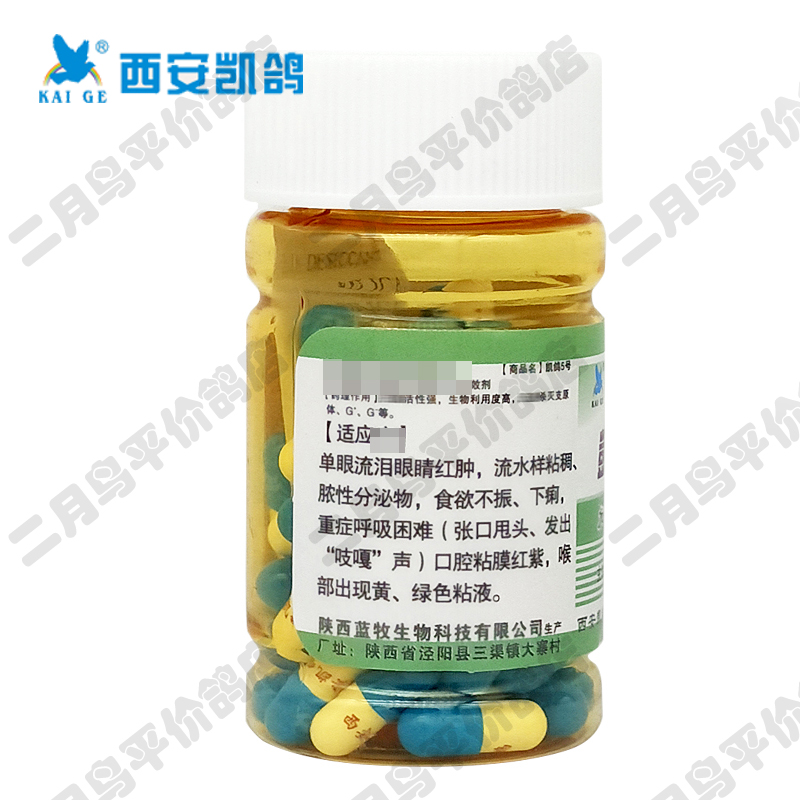 [Kai Ge 5] Viên nang 60 viên Chim bồ câu đua chim bồ câu Chim bồ câu cung cấp chấn thương mắt đơn nem số 5 quần áo lưới gốc - Chim & Chăm sóc chim Supplies phu kien long chim