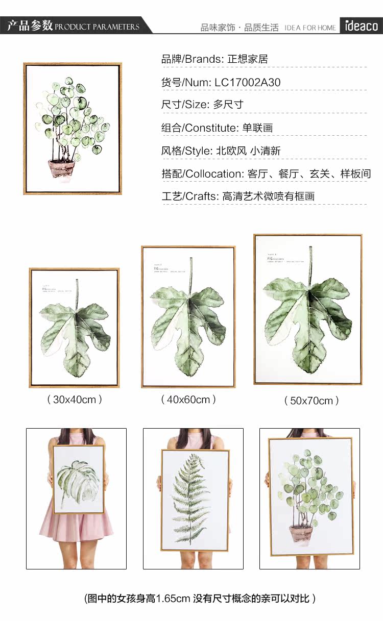 CD Green Plant Wall Boying_10.jpg