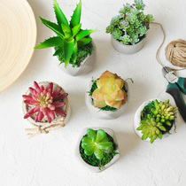 3 pieces of the second city small and succulent plant potted table green plant simulation floral art191