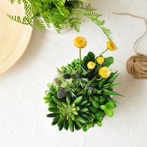 Bergamot Lotus and bear boy aloe simulation succulent plant combination potted table set floral art166