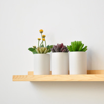 Urban flowers and plants simulation fleshy gemstone lotus plant potted desktop ceramic pot ornaments art080