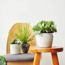 Kangshan handmade simulation succulent plant combination potted floral art art232