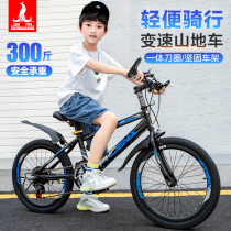 Phoenix childrens bicycle 7-8-9-10-12-15-year-old middle school boy boy girl variable speed 20-inch student bicycle