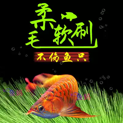 孵化草孵化毛刷锦鲤产卵草水产繁殖鱼卵孵化刷鱼巢金鱼孵化刷包邮 孵化草孵化毛刷锦鲤产卵草水产繁殖鱼卵孵化刷鱼巢金鱼孵化刷包邮