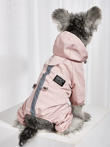 Тедди щенка Пейнс -плащ с четырьмя перевернутыми водонепроницаемы