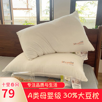 Ten ri - spring breeze 2023 new class A - class soy fiber pillow core adult bacterial depth sleep flux