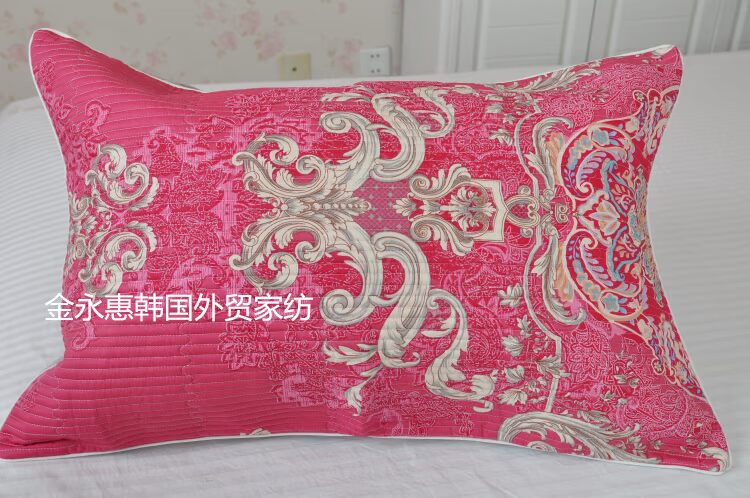 Hàn Quốc bông bông twill bông rửa gối tiêu chuẩn duy nhất một cặp Khuyến mãi Bộ đồ giường gối - Gối trường hợp gối nằm cao su non