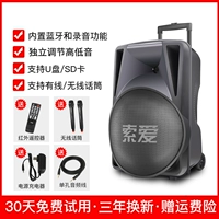 Дорожный беспроводной микрофон, 12 дюймов, 2 шт