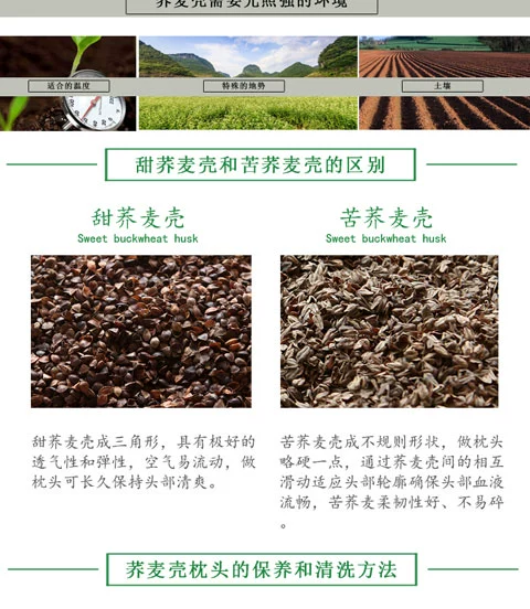 Vỏ kiều mạch số lượng lớn kiều mạch vỏ gối lõi kiều mạch gối trẻ em người lớn gối cổ tử cung nguyên chất gối kiều mạch gối dành cho bà bầu