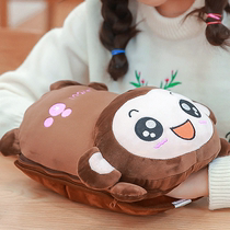 Electric animation pillow charging disassembly doll furry animal warm water bag boyfriend hand warmer