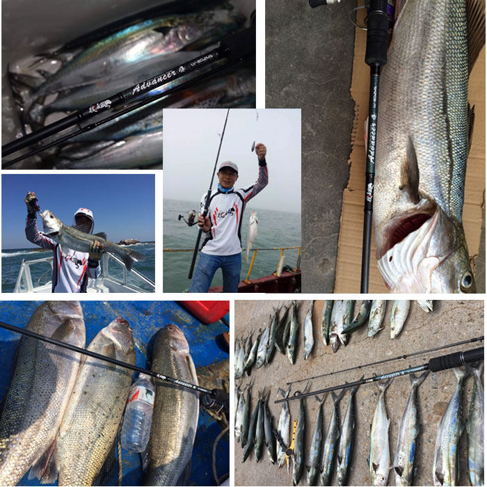 Fishing Wolf Road Subpole Wolf 2 1 m -3 6 m M MH H STRAIGHT HANDLE GUN HANDLE Bass Fishing Rod Shore Throw the Sea of the Sea