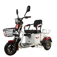 Концентратор, мотор, литиевые батарейки, 48v, 22A