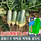 Ешьте сырое зеленое мясо, округ Вей Шаво с высоким содержанием сахара Сладкие хрустящие фруктовые семена радио