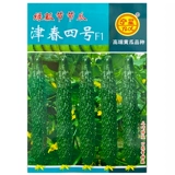 Синзджинчун № 4 Теплостойкость семян огурца, холодная стойкость, огурец, огурец, ранняя весна четыре сезона, семена овощей с высоким уровнем устойчивости высокого урожая