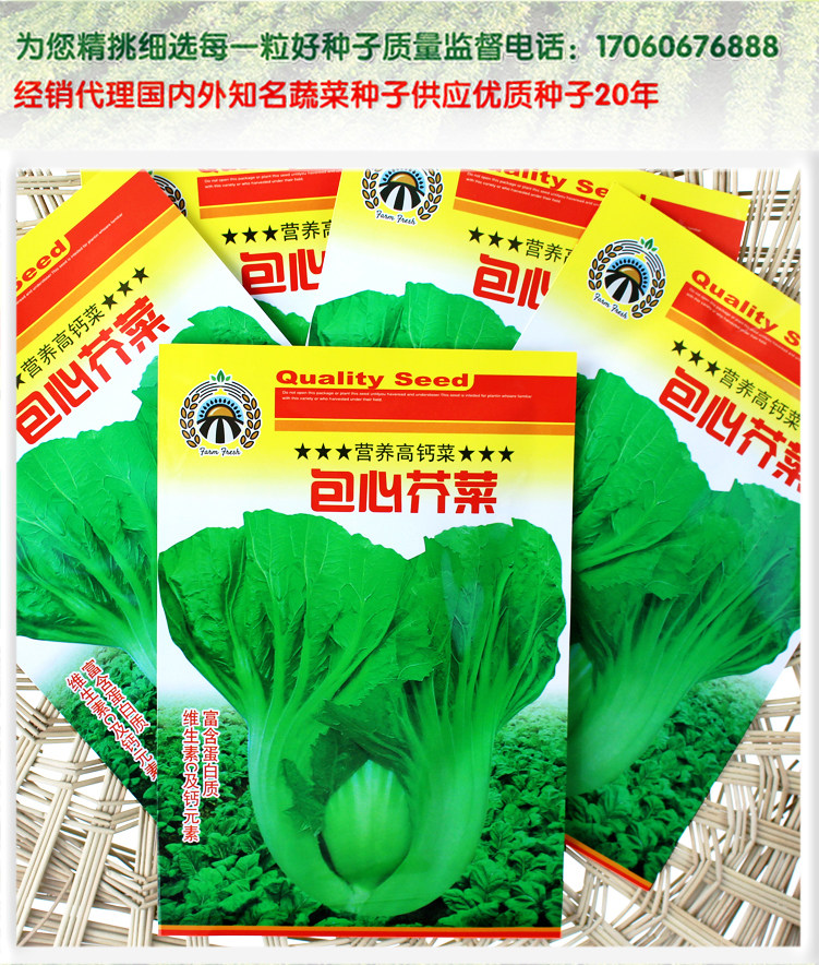 蔬菜种子供应