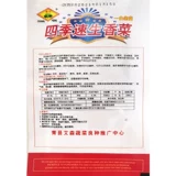 Четыре сезона зажимы, семена кориандра, старая весенняя и осенняя балкона балконы Семена кориандра холодный обратный обратный обратный