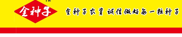 Tưới nước tưới hoa có thể phun áp lực tưới hoa nhỏ tưới nước áp lực cao có thể phun áp lực dụng cụ làm vườn cung cấp - Nguồn cung cấp vườn đồ làm vườn