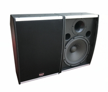 10-inch wall-mounted ultra-thin portable KTV private room conference theater spray paint MDF speaker empty speaker