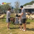 Dâu tây bí ngô cha mẹ mặc trẻ em mùa hè 2019 váy nữ ăn mặc giản dị một gia đình bốn áo thun sọc ngắn tay - Trang phục dành cho cha mẹ và con Trang phục dành cho cha mẹ và con