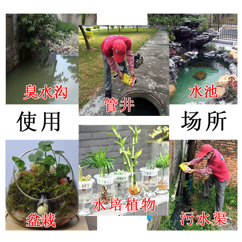 怎样彻底根除下水道中的蛾蚋小飞虫？-管道除味剂-淘宝百科网