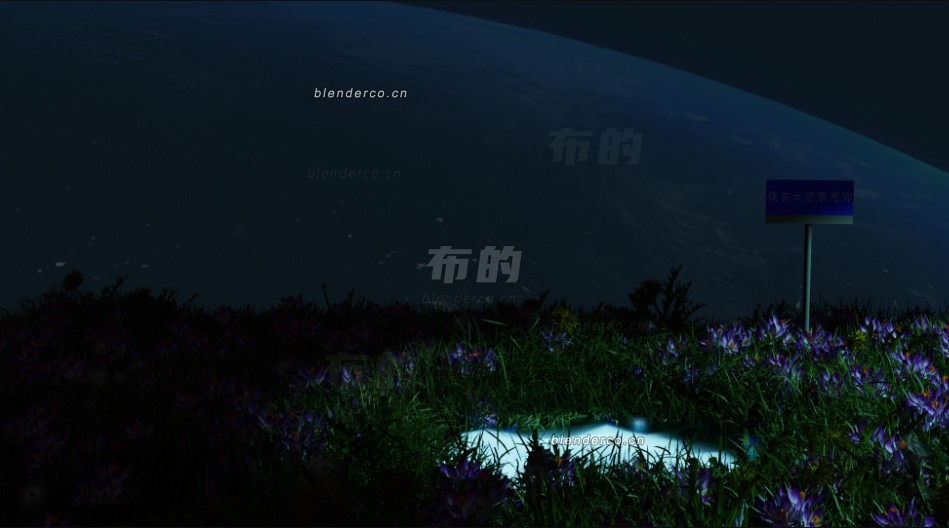 星空花海