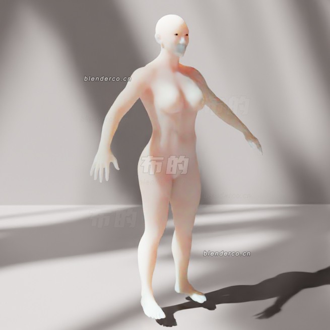 blender亚洲中型女性模型_blender布的40