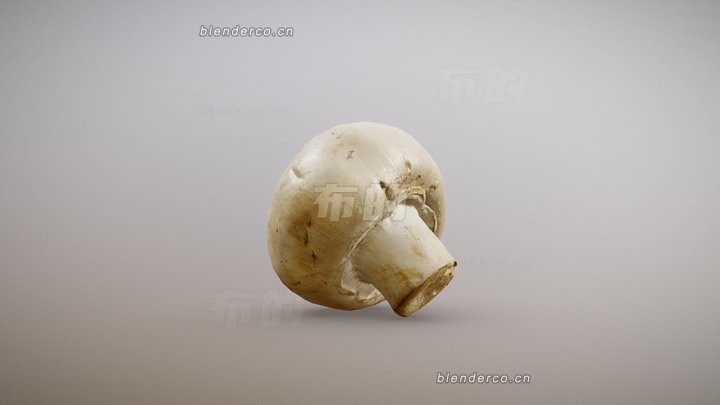 blender白蘑菇模型_blender布的83