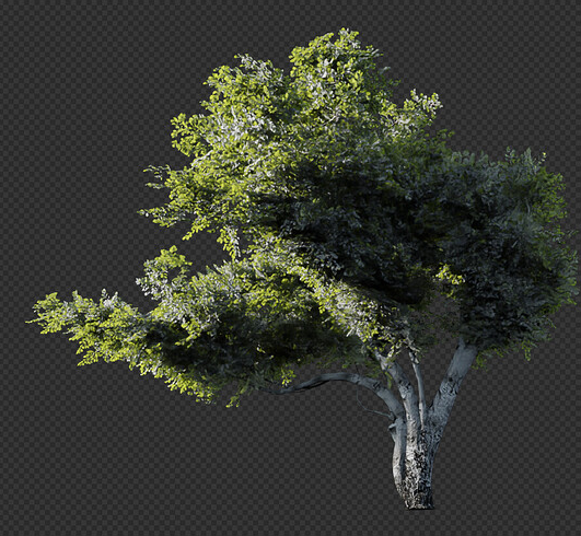 Modular Tree——节点树