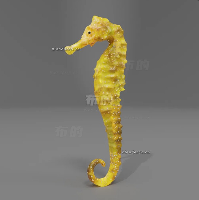 blender虎尾海马模型_blender布的26