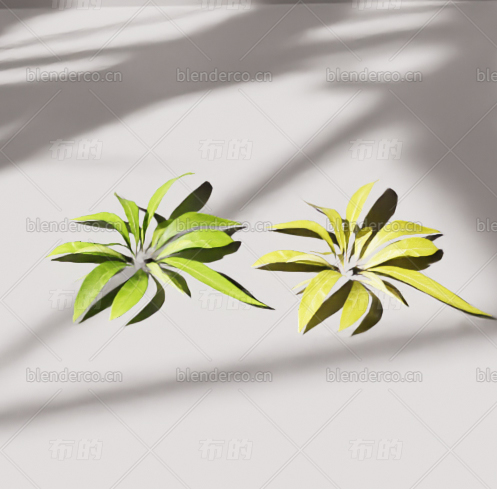 blender草blender布的模型155