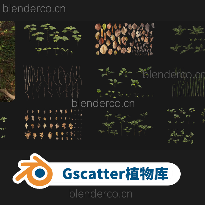 最大的blender植物资产插件Grasswald 对所有人免费！