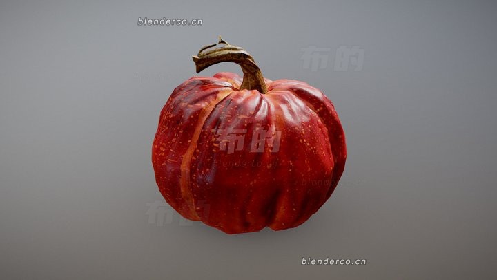 13-南瓜.jpg