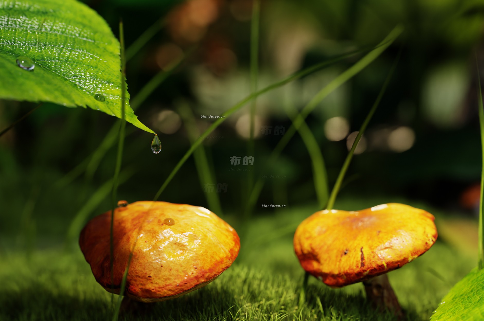 bude_2024-04-15_22-11-27.jpg