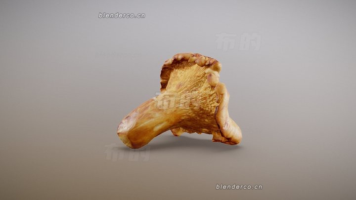 blender鸡油菌蘑菇模型_blender布的18
