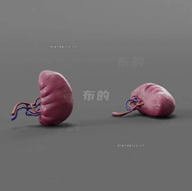 14-暴露脾脏.jpg