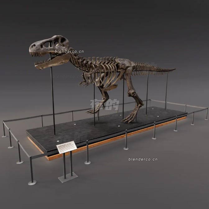 blender霸王龙化石模型_blender布的37