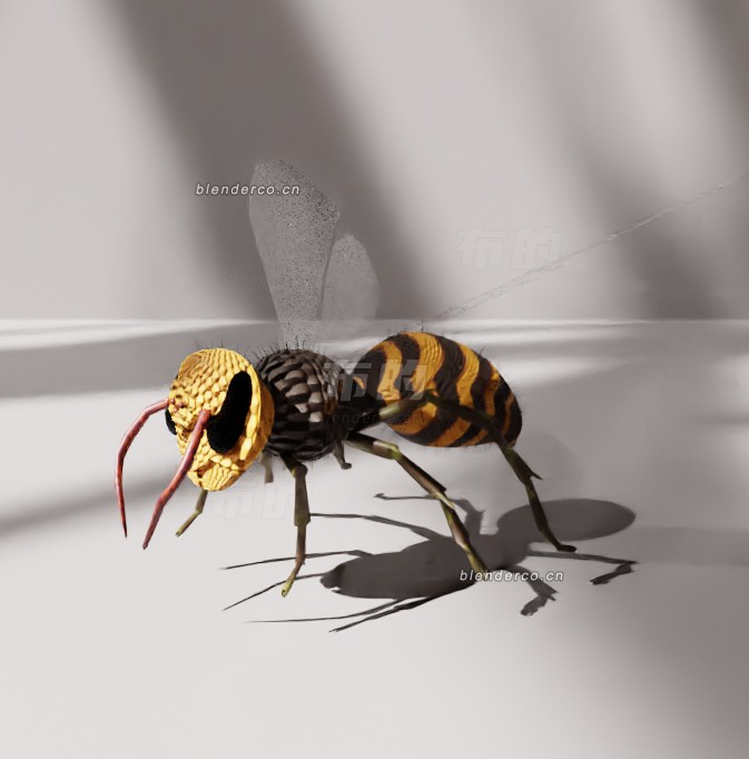 blender黄蜂模型_blender布的18