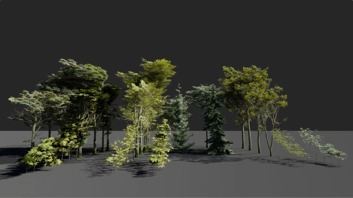 blender大树木模型资产