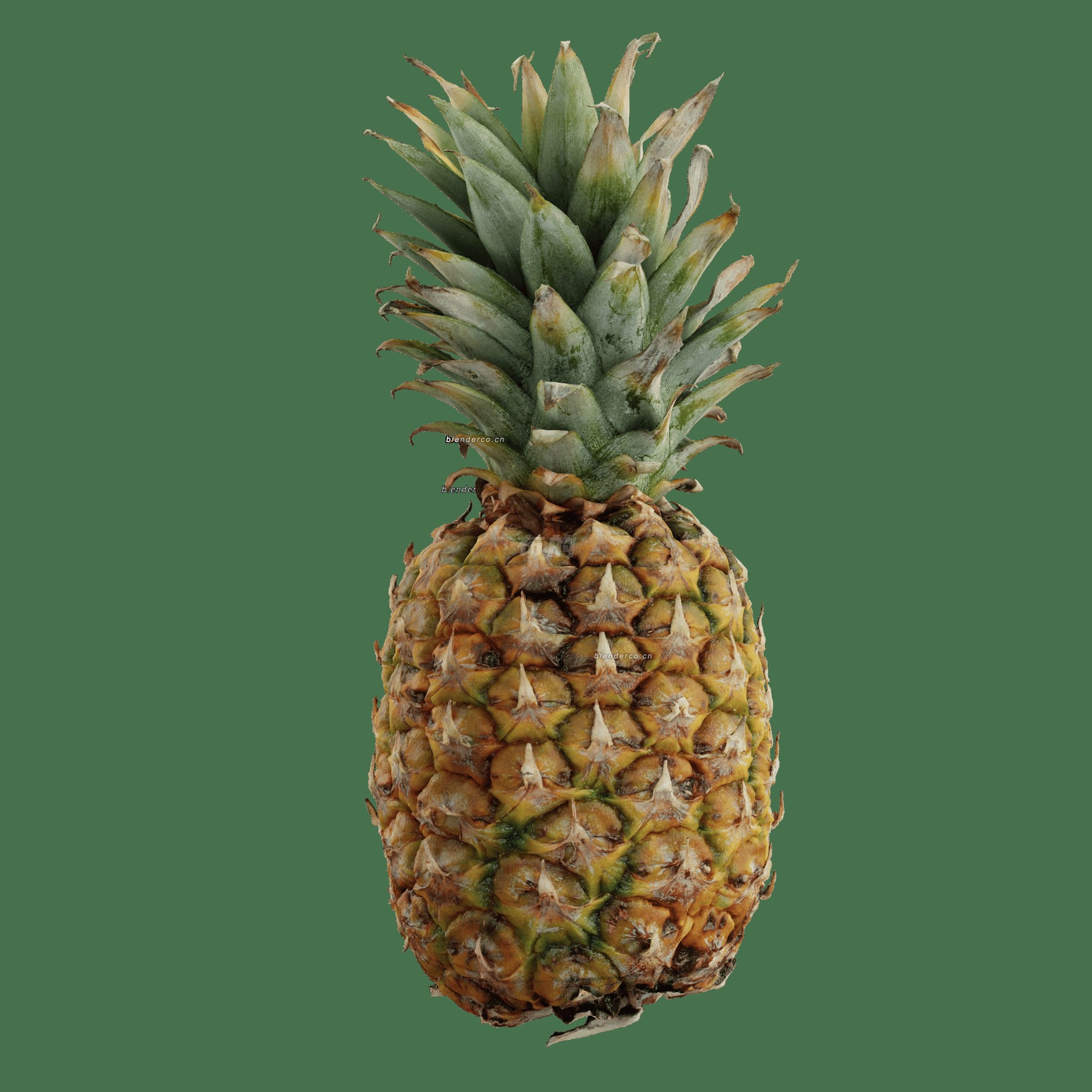 blender菠萝模型_blender布的18