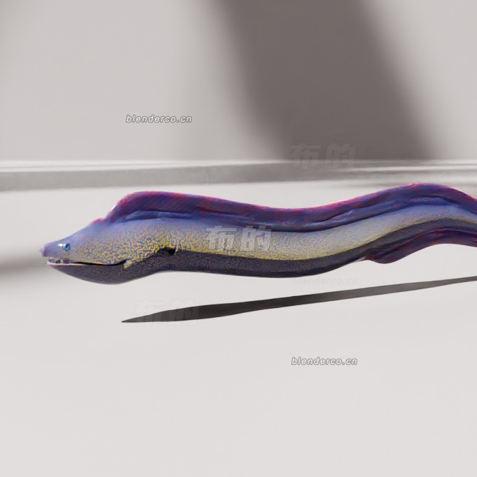 blender海鳗鱼模型_blender布的22